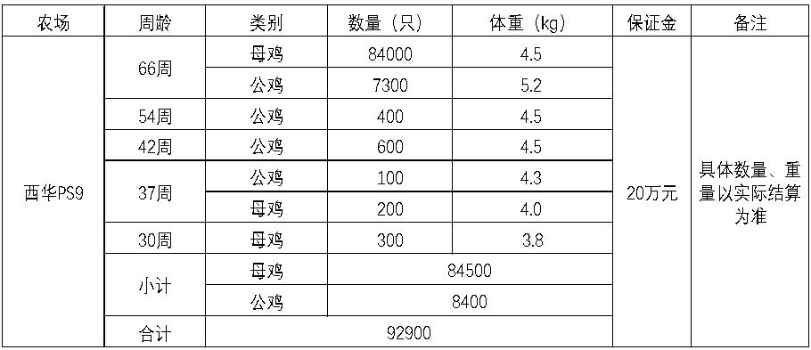 西华米兰.jpg